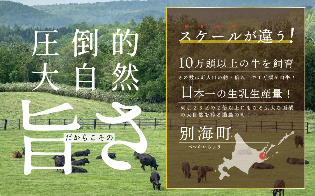 贅沢 ハンバーグ150g×6個 北海道 別海町産 黒毛和牛「 名人和牛」 A5クラス 牛肉 100％ 使用【TB0000003】