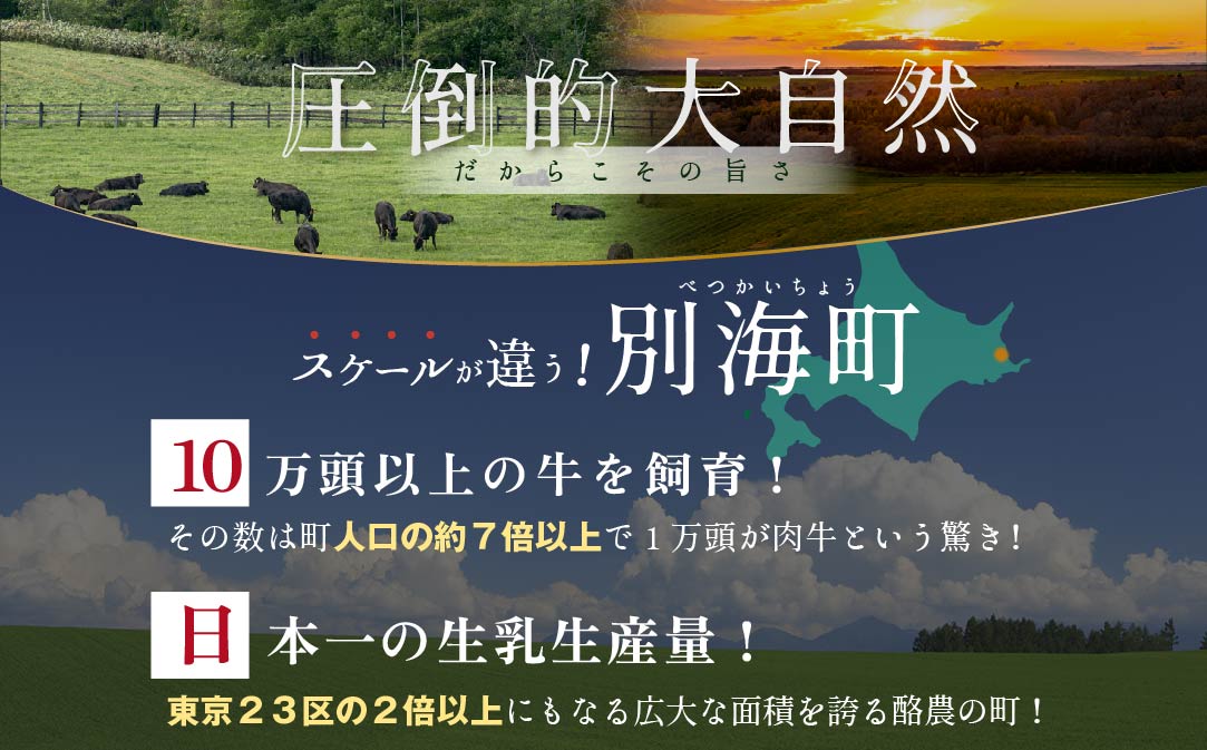 やわらか牛 赤身スライス600ｇ(300g×2P)【KK002LI01】