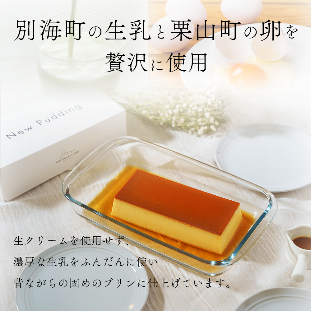 【定期便】濃厚プリン　New Pudding（ニュープディング）（500g×1本）×2ヶ月【be152-0931-100-2】