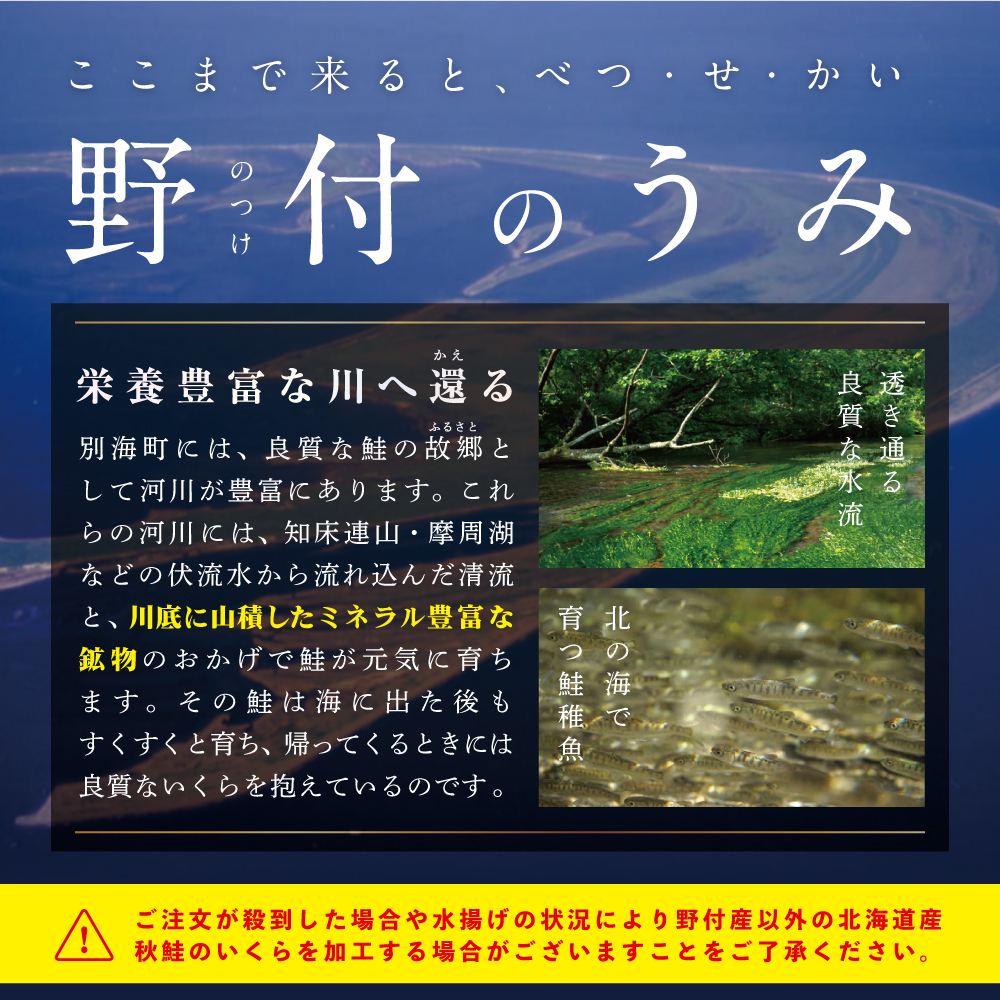 いくら ホタテ 海鮮 セット ！ 北海道 帆立M 500g & いくら 醤油漬け 250g（野付漁業協同組合）