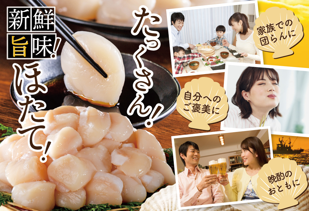 ランキング第1位獲得！【訳あり】北海道 ホタテ 500g  (  ほたて ホタテ ホタテ貝柱 帆立貝 帆立貝柱 北海道 別海町 ふるさと納税 ）																								