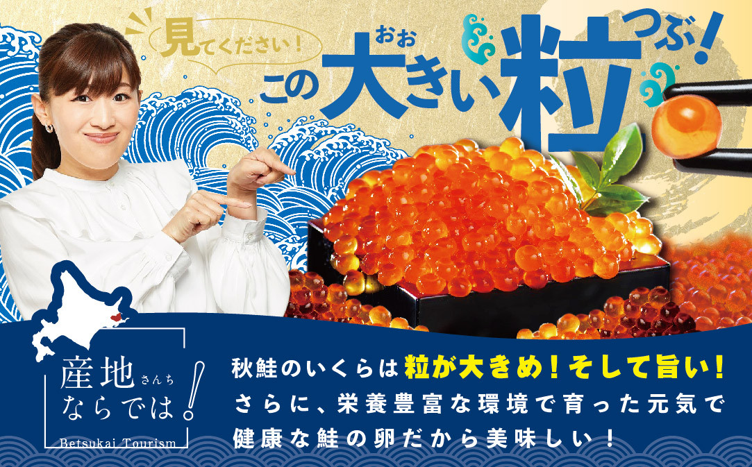 北海道産  鮭いくら醤油漬け500g いくら丼6〜8杯分！鱒（マス）ではなく、北海道産の鮭（サケ）のいくらです  ( イクラ いくら 鮭卵 いくら醤油漬け  イクラ醤油け 魚卵 国産 道産 )