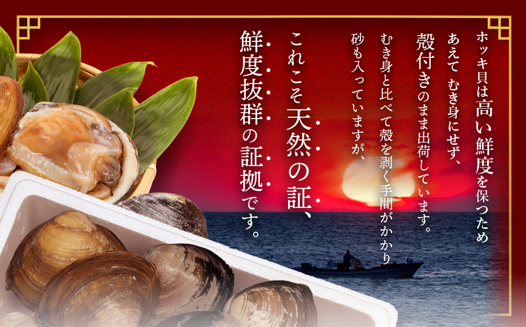 北海道 別海町産 活ホッキ 2.5kg【UY0000025】