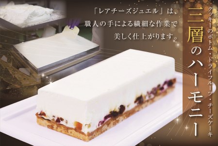 新登場 【１２ヵ月定期便】カッサータ 風 チーズケーキ 「レアチーズジュエル 2本セット」×【12回配送】 be105-0490-100-12