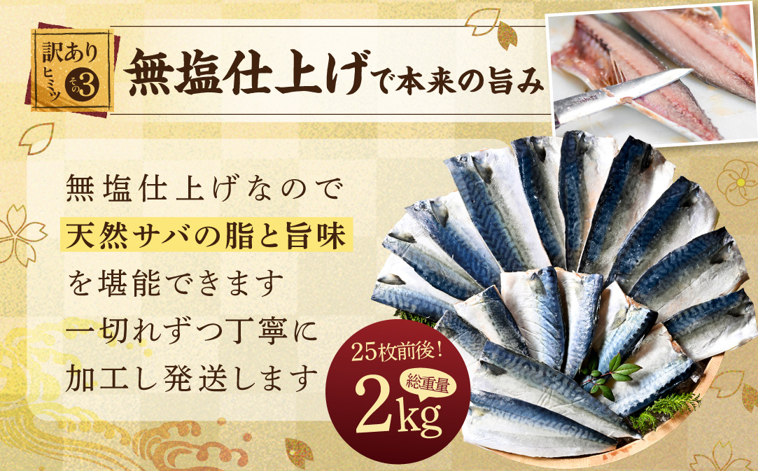 縲占ィウ縺ゅj縲醍┌蝪ゥ 繧オ繝 繝輔ぅ繝ャ 2kg