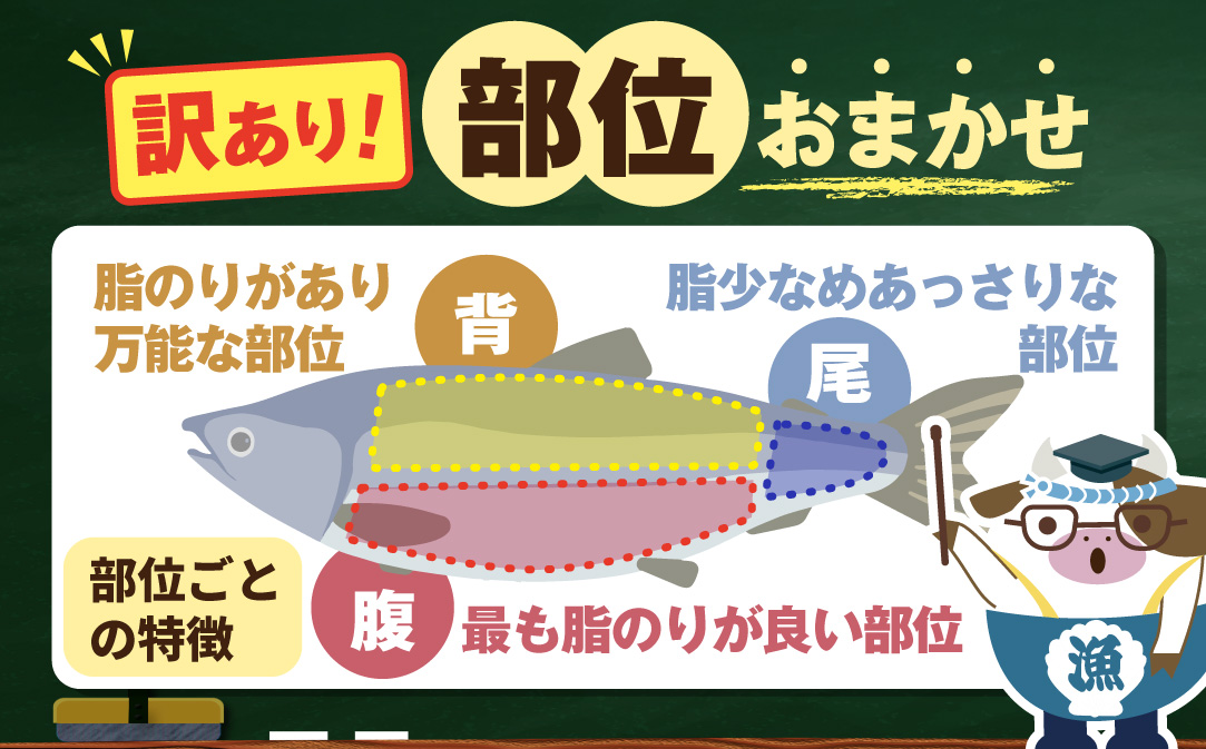 ãèš³ãããã¢ãã©ã³ãã£ã㯠ãµãŒã¢ã³ ãã©ã¹ïŒã«ãïŒäžéªš ãã©ãšãã£ã»ãã500g(500g Ã1P)ãSS0000HY0ã