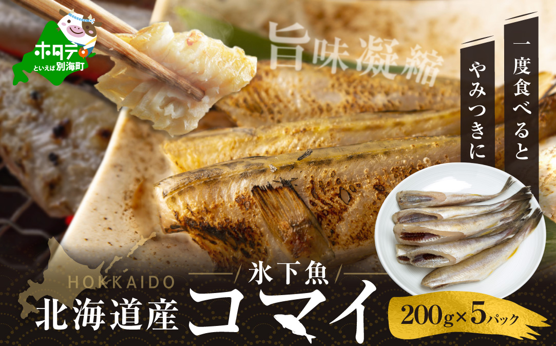 北海道 産 干し こまい 1ｋｇ[ 200g × 5パック ]【SS0000009】