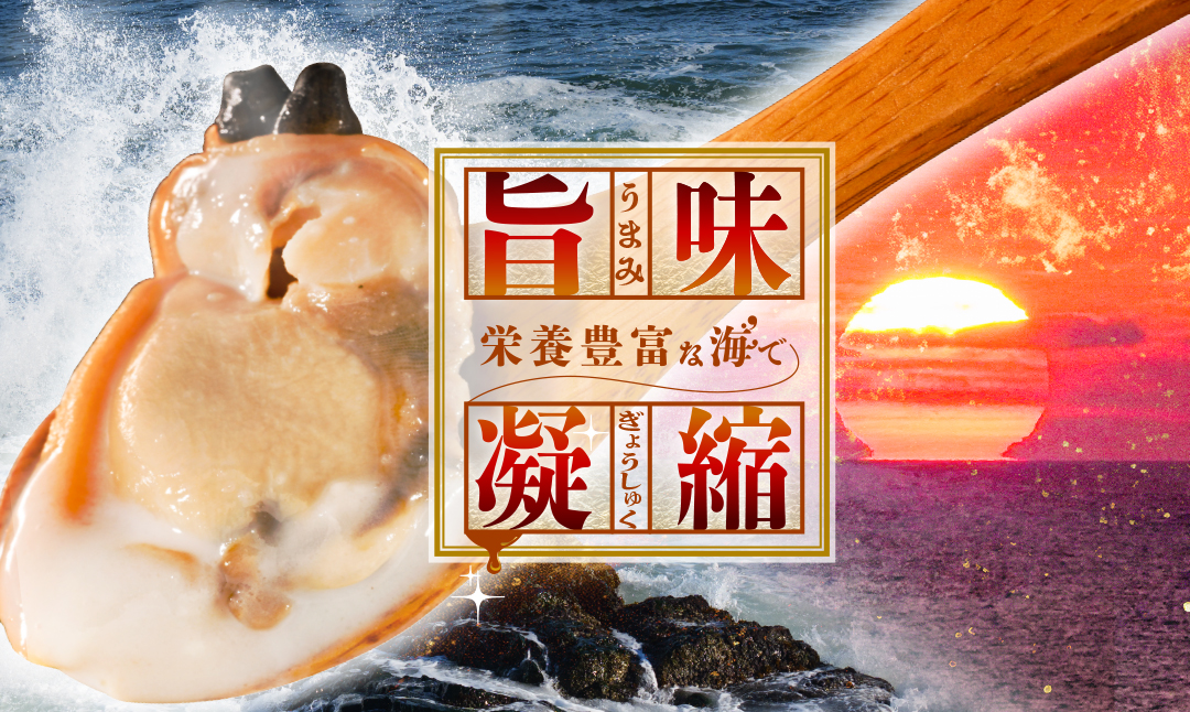 北海道野付産 あさり ボイルむき身 640g(160g×4) 貝付き3～4kg 相当【NK0000RO0】