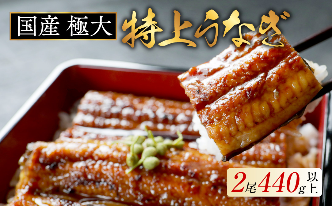 (6月)国産 極大 特上うなぎ(220g×2尾)