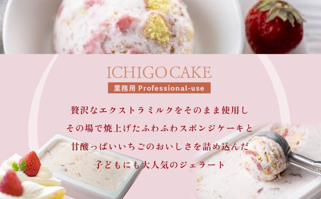 【毎月定期便】【THE ICE】業務用１リットル いちごケーキ ×4ヵ月定期便 【be003-1076-100-4】