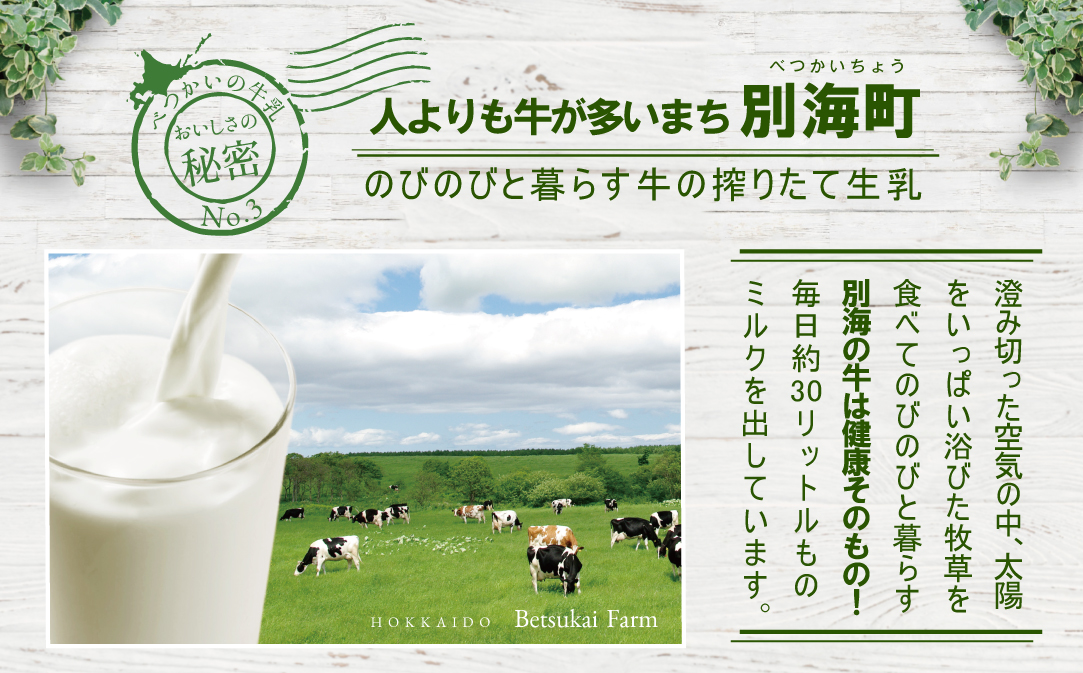 北海道 牛乳食パン 2斤×4本【TY0000016】