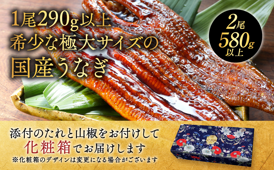 蝗ス逕」 蟶悟ー 雜讌オ螟ァ 迚ケ荳翫≧縺ェ縺(290gテ2蟆セ)縲唇T000O290縲