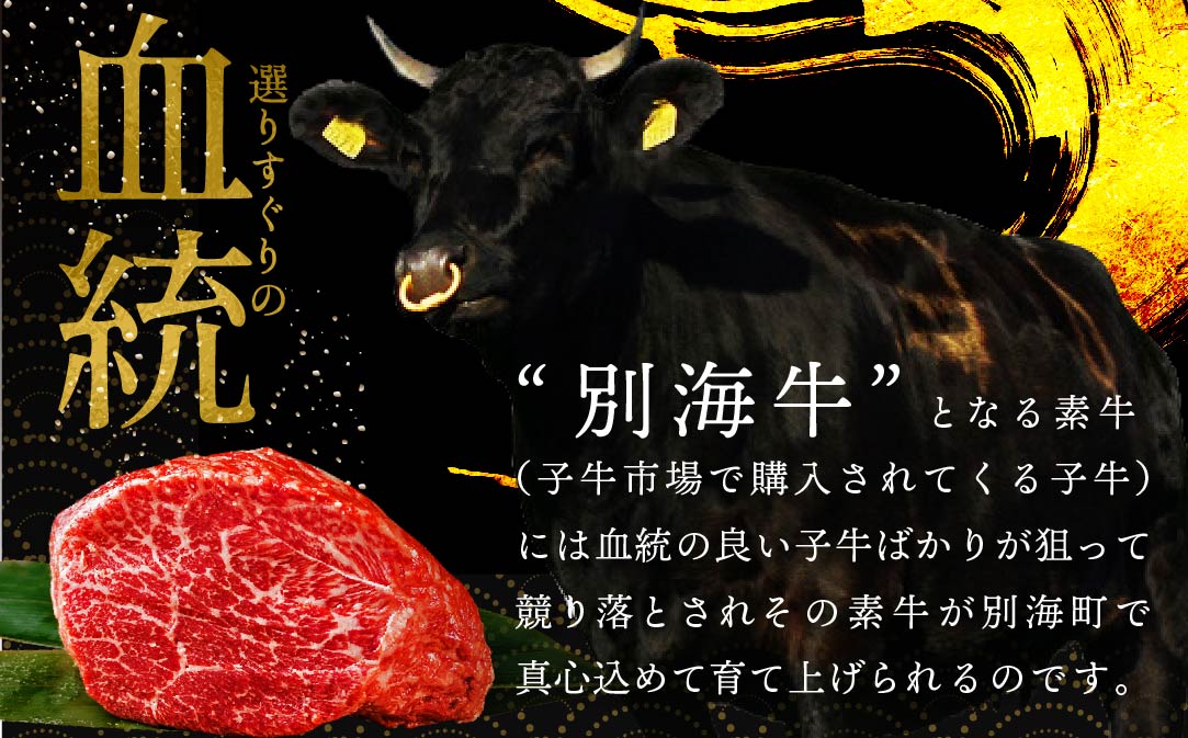 ã12ãæå®æäŸ¿ã奿µ·ççãã³ããŒã°1.8kgïŒ150gÃ12åïŒãNSM120003ã