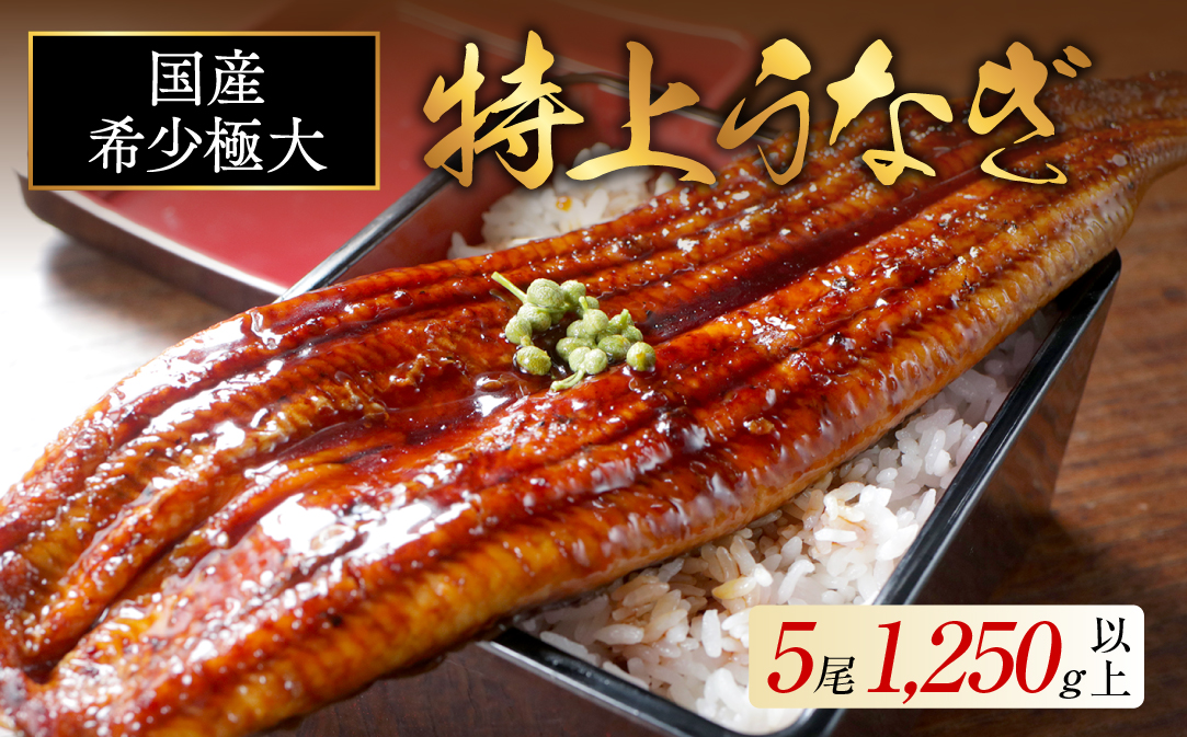 国産 希少 極大 特上うなぎ(250g×5尾)【OT000OE50】