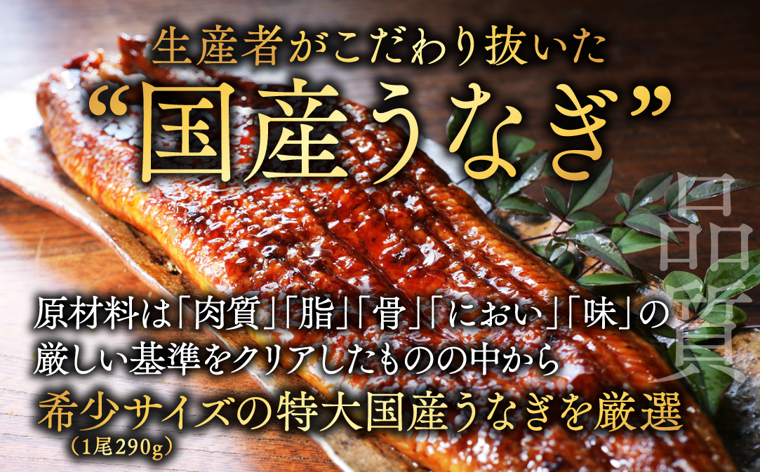 国産 希少 超極大 特上うなぎ(290g×4尾)【OT000OF40】