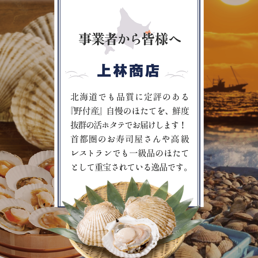 【先行予約】ジャンボ活ほたて 4kg相当 7〜12枚入り＜朝どり新鮮出荷!＞( ふるさと納税 ほたて 大玉 生食 活きほたて 生ホタテ 生帆立 生ホタテ貝柱 帆立貝柱 天然 冷蔵 刺身用 生 )