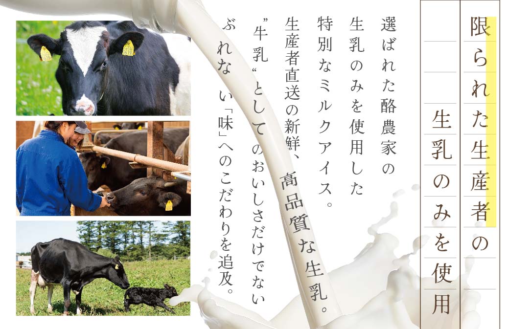 【毎月定期便】【THE ICE】3種詰合せ12個セット×5ヵ月定期便 【be003-1073-100-5】