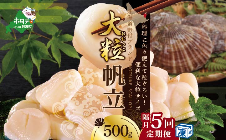 【隔月5回定期便】北海道 野付産 漁協直送 冷凍ホタテ 貝柱大粒ホタテ500ｇ