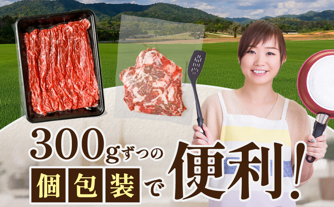 やわらか牛 赤身スライス600ｇ(300g×2P)【KK002LI01】