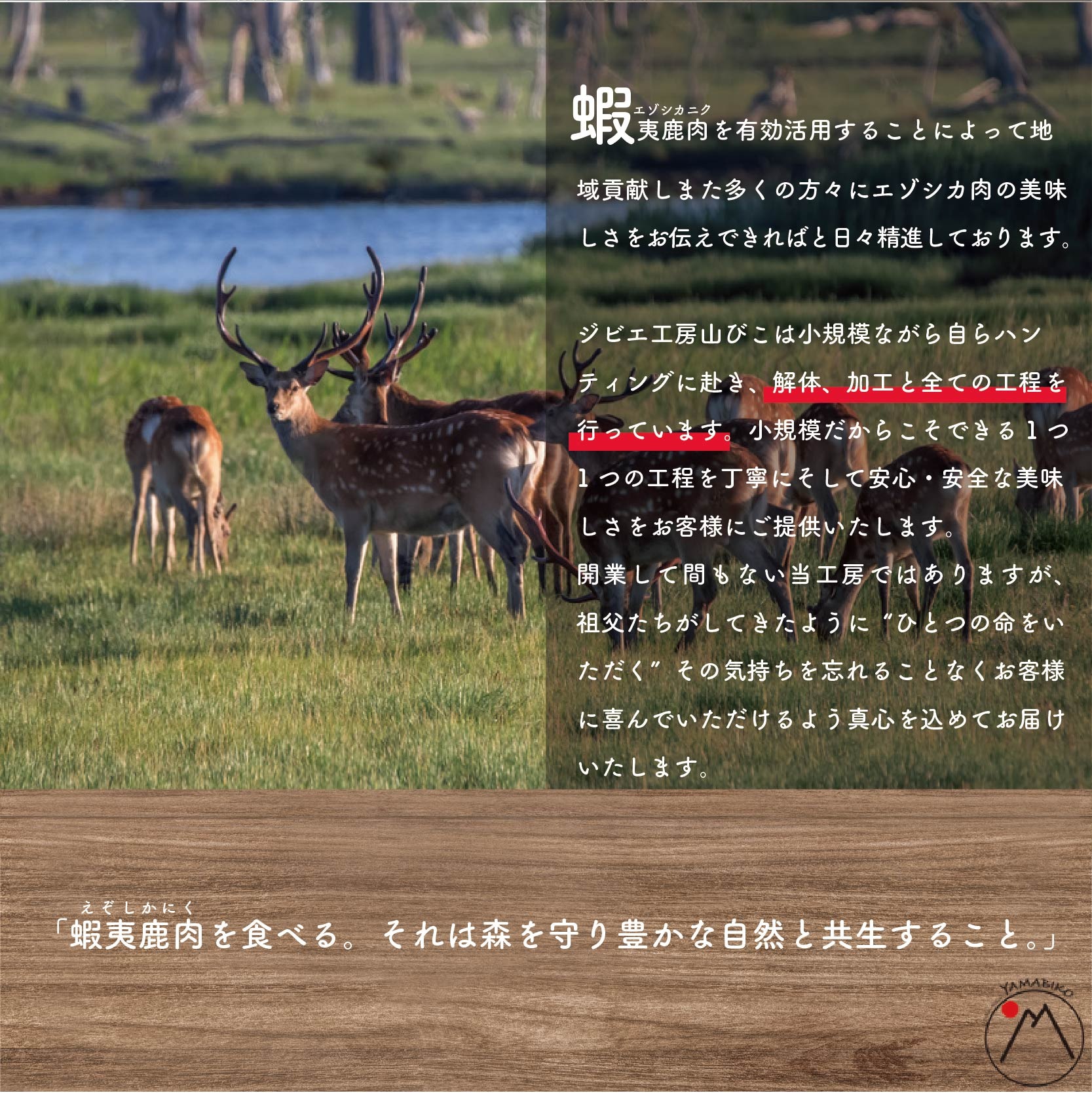 【3ヵ月定期便】鹿肉バラ600g （バラ300g+ホエーバラ300g） 【be081-027a027】