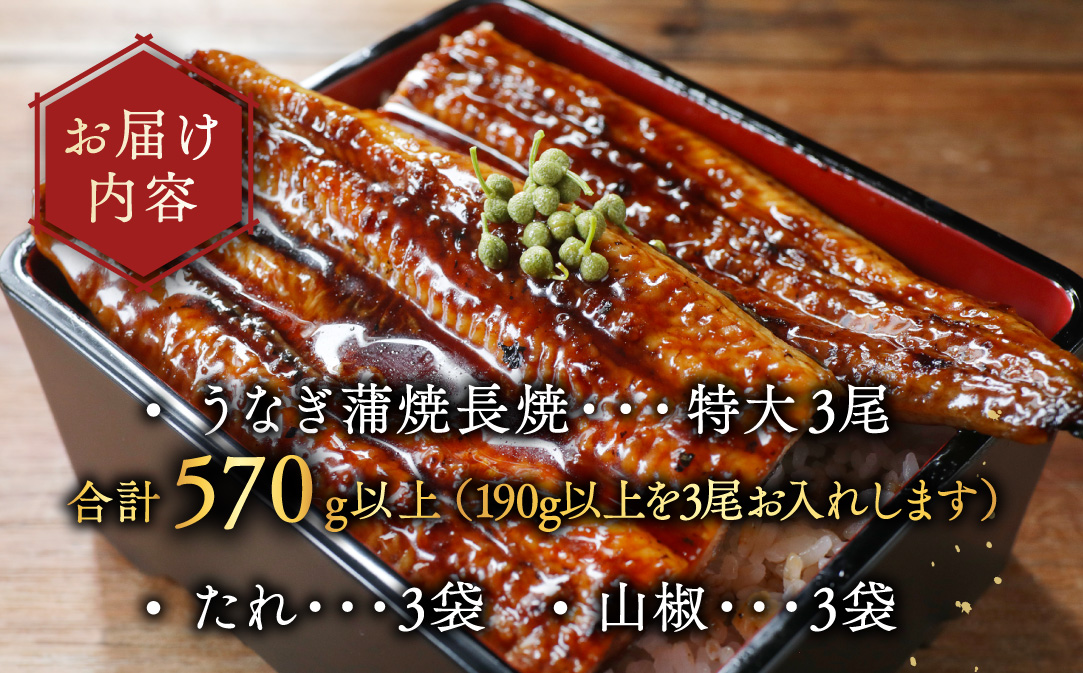 （6月）国産 特大 特上うなぎ(190g×3尾)