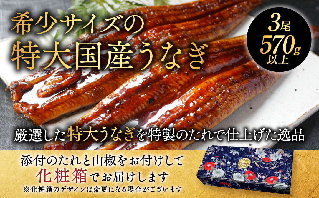 （6月）国産 特大 特上うなぎ(190g×3尾)
