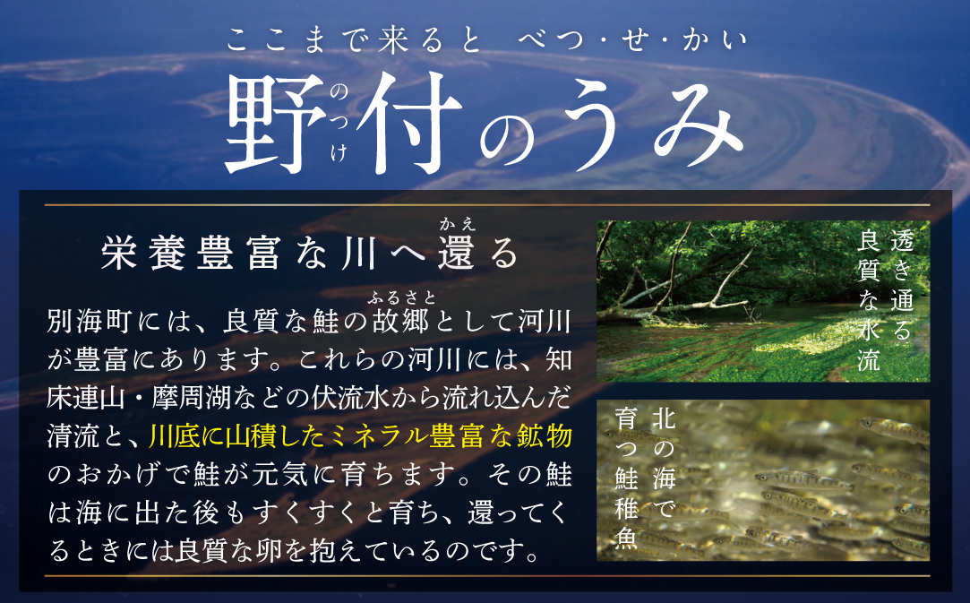 縲檎ァ矩ョュ縺ョ蛻繧願コォ縲18蛻繧( 遘矩ョュ 3蛻蜈・テ6P) 萓ソ蛻ゥ縺ェ 蟆丞縺 繝代ャ繧ッ ( 縺オ繧九&縺ィ邏咲ィ 魄ュ 蛻繧願コォ 險ウ縺ゅj 蛹玲オキ驕 逕伜。ゥ 遘矩ョュ 縺輔¢ 繧オ繧ア )縲侵K000N180縲