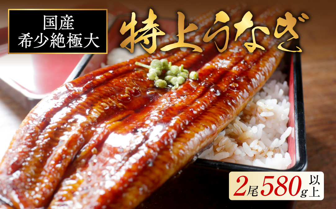国産 希少 超極大 特上うなぎ(290g×2尾)【OT000O290】