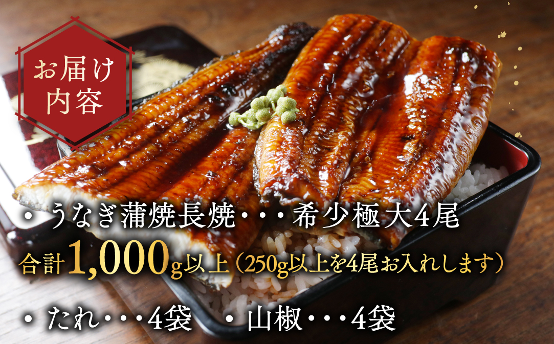 国産 希少 極大 特上うなぎ(250g×4尾)【OT000OE40】