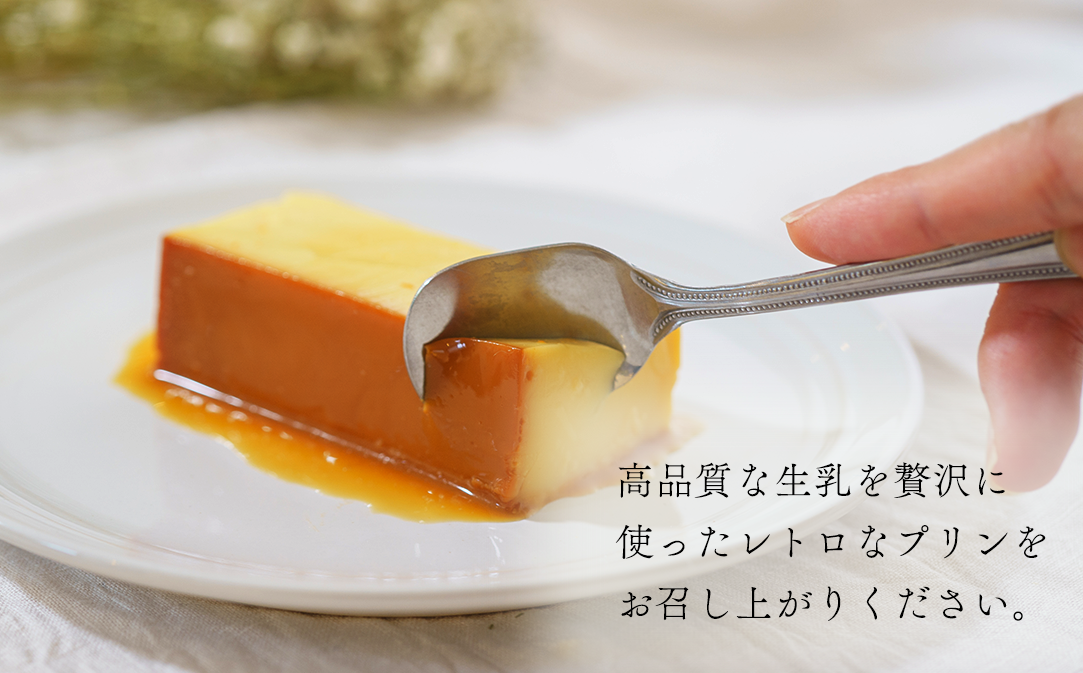 【定期便】濃厚プリン　New Pudding（ニュープディング）（500g×1本）×12ヶ月【be152-0931-100-12】