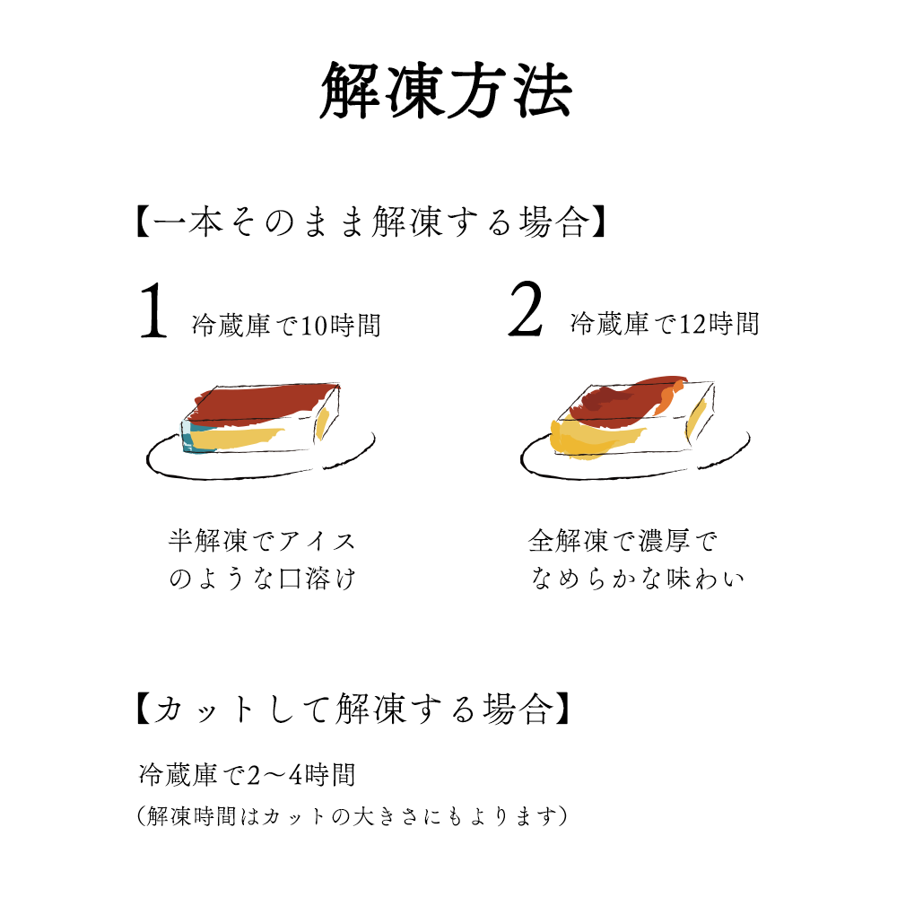 【隔月定期便】濃厚プリン　New Pudding（ニュープディング）（500g×1本）×2回【be152-0931-200-2】