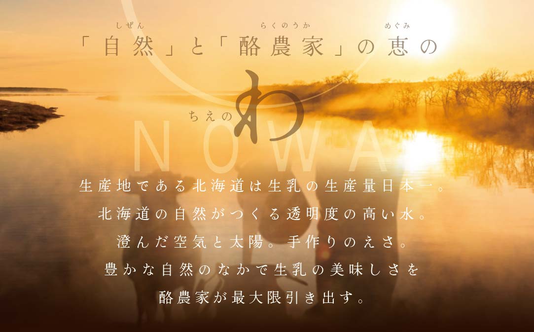 【隔月定期便】【THE ICE】3種詰合せ6個セット×5回定期便 【be003-1072-200-5】