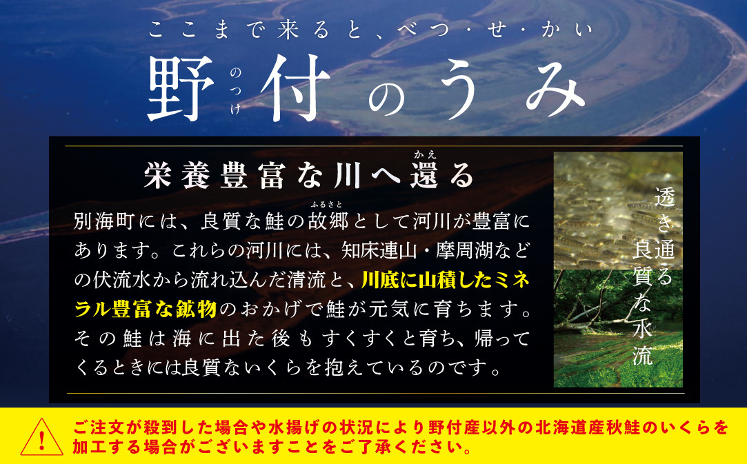 本場「北海道」のいくら醤油漬け 1kg【NK0004NQ5】