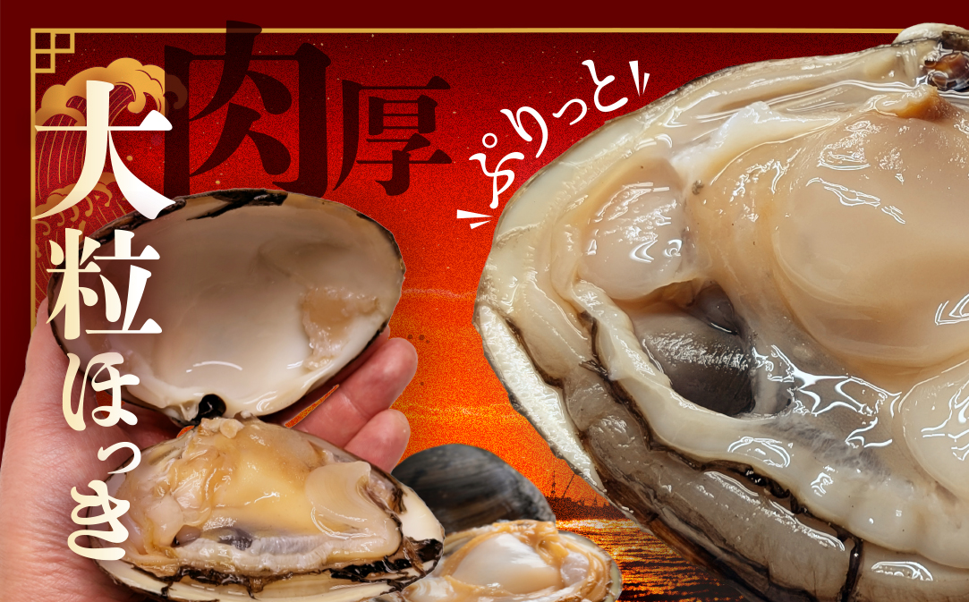 北海道 別海町産 活ホッキ 2.5kg【UY0000025】