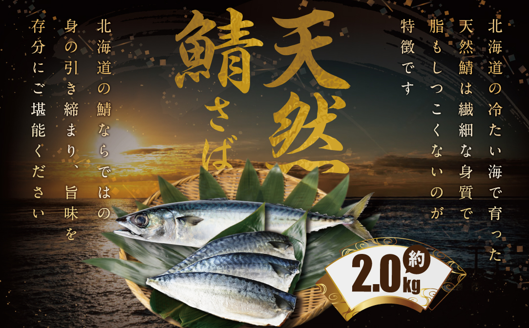縲占ィウ縺ゅj縲醍┌蝪ゥ 繧オ繝 繝輔ぅ繝ャ 2kg