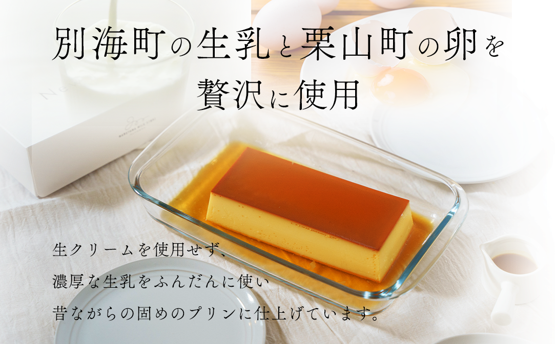 【定期便】濃厚プリン　New Pudding（ニュープディング）（500g×1本）×12ヶ月【be152-0931-100-12】