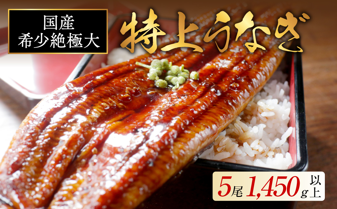 国産 希少 超極大 特上うなぎ(290g×5尾)【OT000OF50】