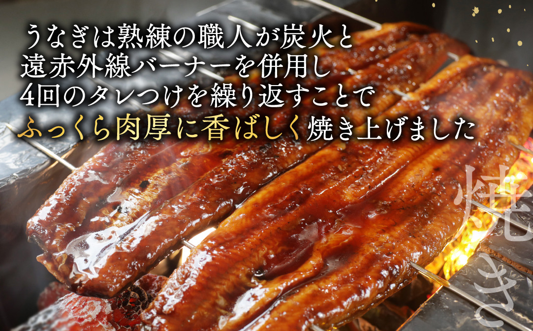 （6月発送）国産　特上うなぎ 2尾 合計 260g 以上【OT000O130】