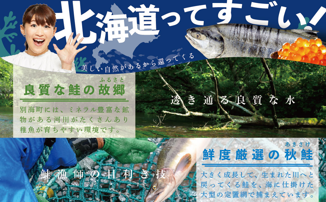 【 年12回 いくら 定期便 毎月 定期 】北海道 産 鮭 イクラ 500g ( 250g × 2パック ) 12回 産直 計 6kg