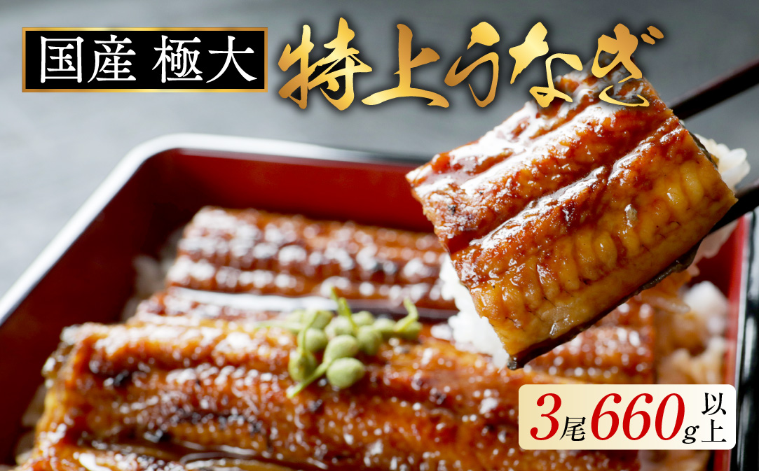 国産 極大 特上うなぎ(220g×3尾)【OT000OD30】
