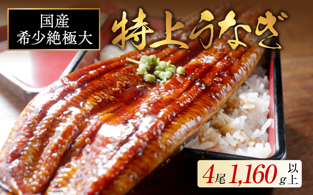 国産 希少 超極大 特上うなぎ(290g×4尾)【OT000OF40】