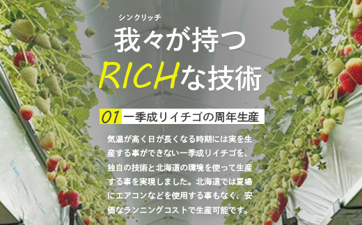 【受注後、随時発送！】【北海道産】ゆきいちご（ゆきぼたん/紅ほっぺ）白×MIX 2Pセット 各250g×2 計500g 苺 白いちご 一季成りイチゴ 希少 ギフト お取り寄せ ふるさと納税 北海道 中標津町【59002】