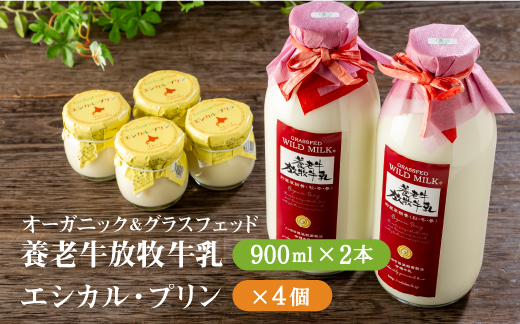 オーガニック＆グラスフェッド養老牛放牧牛乳900ml×2本とエシカル・プリン×4個セット | 有機JAS認証 グラスフェッド 牛乳 無添加 プリン てんさい糖 化学肥料不使用 農薬不使用 健康志向 安心 安全 お取り寄せ 北海道 中標津町 中標津【1301201】