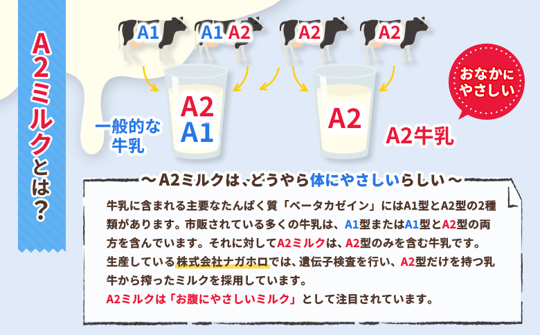 なかしべつ牛乳プレミアム NA2 MILK 1L×6本 牛乳 ミルク プレミアムミルク 乳製品 乳飲料 健康 朝食 高栄養 a2 牛乳 日本 a2ミルク a2牛乳 トレンド ヒット予測 ベスト10 SDGs JGAP 認証農場 お腹 ゴロゴロ 対策 国産 お取り寄せ ふるさと納税 北海道 中標津町 中標津【1401801】