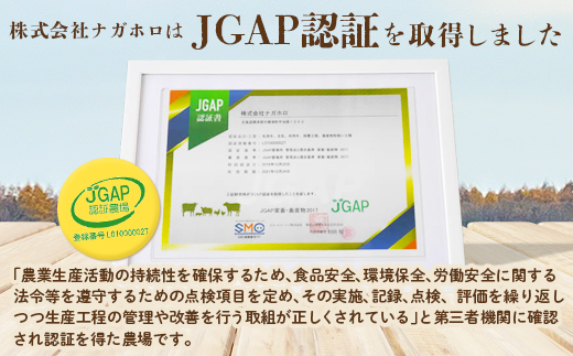 なかしべつ牛乳プレミアム NA2MILK 200m l×6個 牛乳 ミルク プレミアムミルク 乳製品 乳飲料 健康 朝食 高栄養 a2 牛乳 日本 a2ミルク a2牛乳 トレンド ヒット予測 ベスト10 SDGs JGAP 認証農場 お腹 ゴロゴロ 対策 国産 お取り寄せ 6000円 6,000円 ふるさと納税 北海道 中標津町 中標津【1402401】