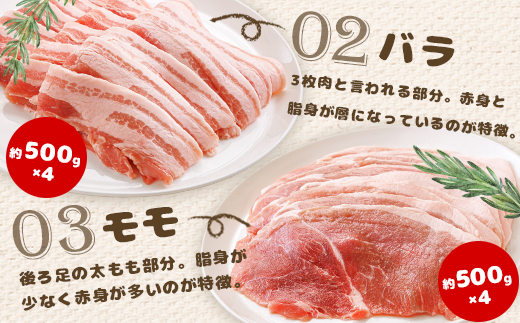 åæµ·éäžæšæŽ¥ç£ ãã«ããŒããŒã¯ãã£ã·ãã»ããïŒèš7.2kgïŒã15004ã