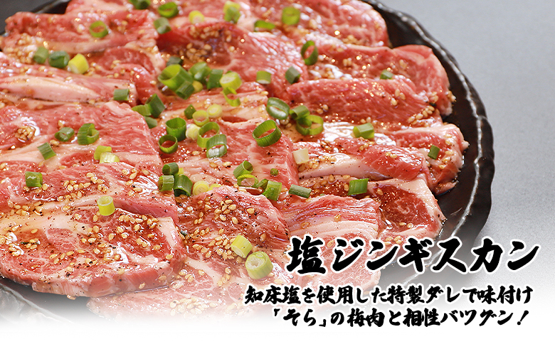 【定期便：全3回】 知床 ジンギスカン店 そら ジンギスカン 2種 セット ラム肩ロース 味付き 塩 各300g 計600g　オンライン 申請 ふるさと納税 北海道 中標津 ラム肉 知床ジンギスカン 焼肉 BBQ 定期便 3ヶ月 中標津町【1601101】
