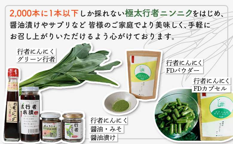 行者ニンニク 4種 セット 醤油 しょうゆ漬け 刻みしょうゆ漬け 味噌 各1個 オンライン 申請 ふるさと納税 北海道 中標津 行者にんにく 幻の山菜 山菜 山の幸 万能 調味料 疲労回復 健康効果 長寿 体力増強 ご飯のお供 お酒のあて 中標津町【20001】