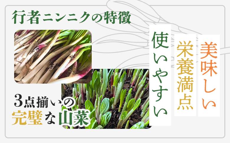 åæµ·éäžæšæŽ¥ç£ è¡è
ãã³ãã¯é€æ²¹æŒ¬Ã3åã»ãªã€ã«å³åÃ3åã»ããã20003ã