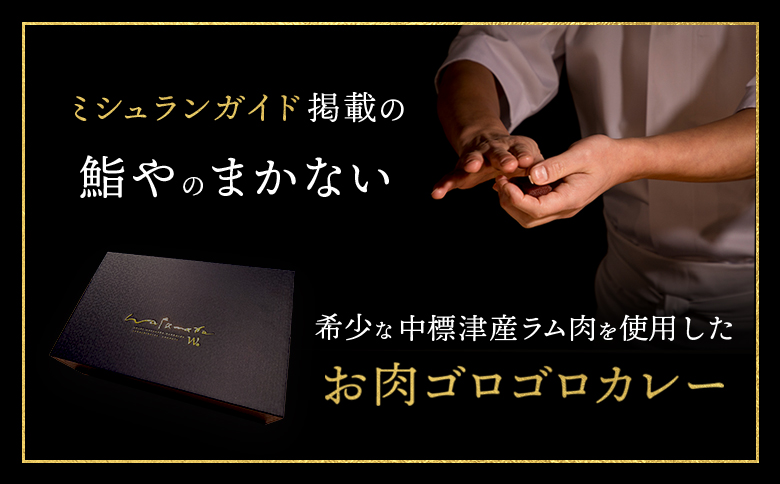 中標津産 ラム肉　お肉ゴロゴロカレー　200g×10個 ラム ラム肉 豚肉 豚 牛肉 牛 カレー カレーライス 冷凍 湯銭 温めるだけ 簡単　惣菜 ふるさと納税 北海道 中標津町 中標津【21004】